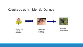 Cadena de transmisión del Dengue
Reservorio
Individuo
enfermo
Mosquito
(Aëdes)
infectado
Individuo
Susceptible
 