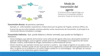 Modo de
transmisión del
agente
Es la forma como el agente llega y se
introduce en el hospedero desde el
reservorio. Puede ser de dos formas:
Transmisión directa: de persona a persona.
◦ Ejemplo, en enfermedades respiratorias: (Tuberculosis por las gotitas de Flugeé), venéreas (Sífilis), etc.
◦ A pesar de que las enfermedades venéreas admitan varios mecanismos de transmisión, la principal es la
transmisión directa inmediata o contagio.
Transmisión indirecta: Que puede deberse a Vector animado, que puede ser biológico o
mecánico:
◦ Vector biológico, que además de funcionar como vehículo del agente infeccioso, desempeña también el
papel de abrigo biológico, pues el agente cumple parte de su ciclo biológico en el organismo del vector.
Ejemplo: malaria, enfermedad de Chagas, bartonelosis o enfermedad de Carrión.
◦ Vector mecánico, por ejemplo insectos que caminan o vuelan y que cargan al agente en sus patas o alas
contaminadas. También puede ser por el pasaje de micro organismos a través del tracto gastrointestinal. En
ellos, el agente no se multiplican y no sufren ningún cambio en su ciclo biológico. Por ejemplo, las moscas
y cucarachas en las infecciones gastro-intestinales.
 
