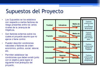 Supuestos del Proyecto

 