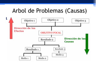 Arbol de Problemas (Causas)
Desarrollo del Árbol de Problema3
Objetivo 2
Objetivo 1
Objetivo
OBEJTIVO FOCAL
Resultado 2

Resultado 1

Resultado 3

Medio 3
Medio 1

Medio 2

 