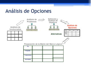 Análisis de Opciones

 