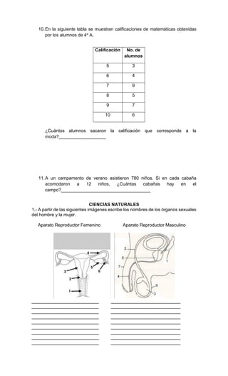 10.En la siguiente tabla se muestran calificaciones de matemáticas obtenidas
por los alumnos de 4º A.
Calificación No. de
alumnos
5 3
6 4
7 9
8 5
9 7
10 6
¿Cuántos alumnos sacaron la calificación que corresponde a la
moda?___________________
11.A un campamento de verano asistieron 780 niños. Si en cada cabaña
acomodaron a 12 niños, ¿Cuántas cabañas hay en el
campo?____________________________________
CIENCIAS NATURALES
1.- A partir de las siguientes imágenes escribe los nombres de los órganos sexuales
del hombre y la mujer.
Aparato Reproductor Femenino Aparato Reproductor Masculino
___________________________ ____________________________
___________________________ ____________________________
___________________________ ____________________________
___________________________ ____________________________
___________________________ ____________________________
___________________________ ____________________________
___________________________ ____________________________
___________________________ ____________________________
___________________________ ____________________________
 