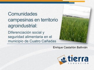 Comunidades
campesinas en territorio
agroindustrial:
Diferenciación social y
seguridad alimentaria en el
municipio de Cuatro Cañadas
                         Enrique Castañón Ballivián
 