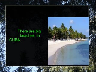 There are big    beaches  in CUBA 