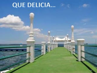 131QUE DELICIA…