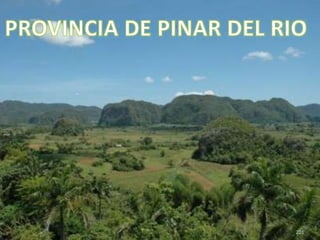 201PROVINCIA DE PINAR DEL RIO