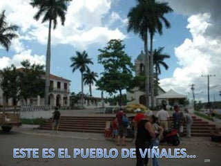 209ESTE ES EL PUEBLO DE VIÑALES…
