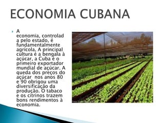    A
    economia, controlad
    a pelo estado, é
    fundamentalmente
    agrícola. A principal
    cultura é a bengala à
    açúcar, a Cuba é o
    primeiro exportador
    mundial de açúcar. A
    queda dos preços do
    açúcar nos anos 80
    e 90 obrigou uma
    diversificação da
    produção. O tabaco
    e os citrinos trazem
    bons rendimentos à
    economia.
 