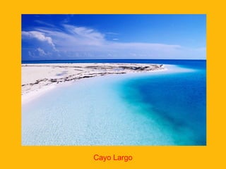 Cayo Largo

 