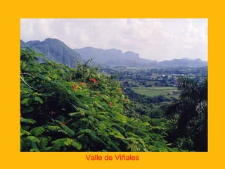 Valle de Viñales

 