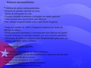 Burguesia Agromanufatureira 
• Fábricas de açúcar semimecanizadas; 
• Homens de grandes extensão de terra; 
• Donos de plantações de café; 
• Escasso respaldo econômico e relegados ao espaço agrícola; 
• Sem recursos para desenvolver suas fábricas; 
• Não tinham competitividade com a outra frente burguesa; 
• Surge nos meados de 1840, a burguesia composta por donos de 
fábricas de tabaco; 
• Produziam para exportação e concentravam suas fábricas na capital; 
• Grande demanda no mercado mundial, por sua excelente qualidade; 
• fabricantes de tabacos e cigarros eram marginalizados pelo setor açu- 
- careiro, causando vários conflitos; 
A concepção de classe operária: 
• Trabalhadores das fábricas de tabaco pioneiros; 
• Saturnino Martínez foi um dos trabalhadores e precursor da luta pela 
melhora do trabalho da sua classe; 
• Em 1865 cria-se o jornal “La Aurora”; 
• Criação de Cooperativas e escolas noturnas; 
• Associação de Tabaqueiros de Havana; 
 
