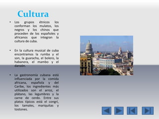 Cultura 
• Los grupos étnicos los 
conforman los mulatos, los 
negros y los chinos que 
proceden de los españoles y 
africanos que integran la 
cultura de cuba. 
• En la cultura musical de cuba 
encontramos la rumba y el 
son, la guaracha, el bolero, la 
habanera, el mambo y el 
danzón. 
• La gastronomía cubana está 
influenciada por la comida 
africana, española y del 
Caribe, los ingredientes más 
utilizados son el arroz, el 
plátano, las legumbres y la 
carne de cerdo. Entre sus 
platos típicos está el congrí, 
los tamales, mariquitas y 
tostones. 
 