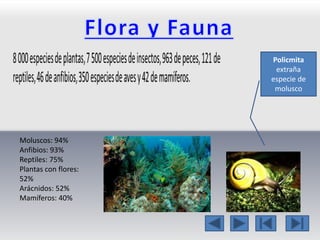 Moluscos: 94% 
Anfibios: 93% 
Reptiles: 75% 
Plantas con flores: 
52% 
Arácnidos: 52% 
Mamíferos: 40% 
Policmita 
extraña 
especie de 
molusco 
 