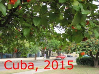 Cuba, 2015
 
