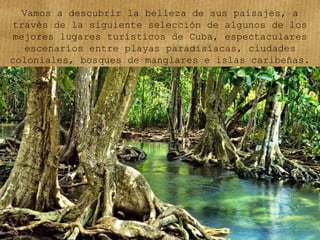 Vamos a descubrir la belleza de sus paisajes, a
través de la siguiente selección de algunos de los
mejores lugares turísticos de Cuba, espectaculares
escenarios entre playas paradisíacas, ciudades
coloniales, bosques de manglares e islas caribeñas.
 