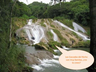 Las Cascadas del Nicho
son muy bonitas, ¿no
lo crees?
 