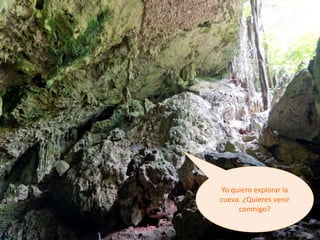 Yo quiero explorar la
cueva. ¿Quieres venir
conmigo?
 