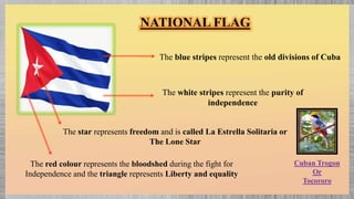 NATIONAL FLAG
The blue stripes represent the old divisions of Cuba
The white stripes represent the purity of
independence
The star represents freedom and is called La Estrella Solitaria or
The Lone Star
The red colour represents the bloodshed during the fight for
Independence and the triangle represents Liberty and equality
Cuban Trogon
Or
Tocororo
 