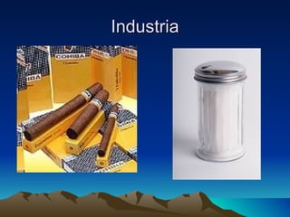 Industria
 