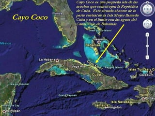 Cayo Coco
 