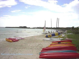 Selecciona el que prefieres y a navegar
 