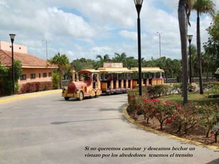 Si no queremos caminar y deseamos hechar un
vistazo por los alrededores tenemos el trensito
 