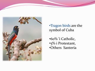 •Tragon birds are the
symbol of Cuba
•60% 'i Catholic,
•5% i Protestant,
•Others Santeria
 