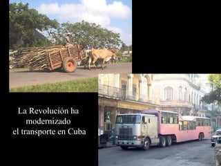 La Revolución ha
     modernizado
el transporte en Cuba
 