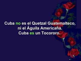 Cuba  no  es el Quetzal Guatemalteco,  ni el Águila Americana.  Cuba  es  un Tocororo.   