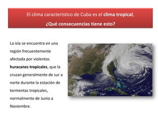 El clima característico de Cuba es el clima tropical,
                    ¿Qué consecuencias tiene esto?


La isla se encuentra en una
región frecuentemente
afectada por violentos
huracanes tropicales, que la
cruzan generalmente de sur a
norte durante la estación de
tormentas tropicales,
normalmente de Junio a
Noviembre.
 