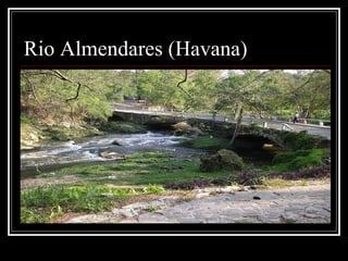 Rio Almendares (Havana)