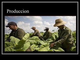 Produccion