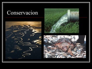 Conservacion