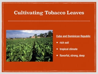 Cultivating Tobacco Leaves
Cuba and Dominican Republic
• rich soil
• tropical climate
• ﬂavorful, strong, deep
 