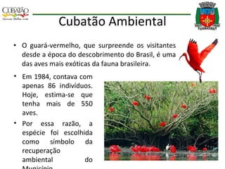 Cubatão Ambiental O guará-vermelho, que surpreende os visitantes desde a época do descobrimento do Brasil, é uma das aves mais exóticas da fauna brasileira. Em 1984, contava com apenas 86 indivíduos. Hoje, estima-se que tenha mais de 550 aves. Por essa razão, a espécie foi escolhida como símbolo da recuperação ambiental do Município. 