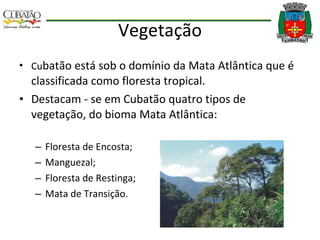 Vegetação Cu batão está sob o domínio da Mata Atlântica que é classificada como floresta tropical. Destacam - se em Cubatão quatro tipos de vegetação, do bioma Mata Atlântica: Floresta de Encosta; Manguezal; Floresta de Restinga; Mata de Transição. 