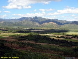 Valley de los Ingenios