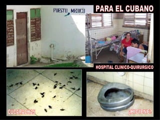 HOSPITAL CLINICO-QUIRURGICO CUCARACHAS PARA EL CUBANO ATENCION MEDICA ¿HIGIENE? 