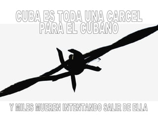 CUBA ES TODA UNA CARCEL PARA EL CUBANO Y MILES MUEREN INTENTANDO SALIR DE ELLA 