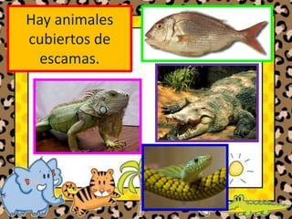 Hay animales
cubiertos de
escamas.
 