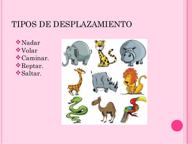 Cubierta y desplazamiento de los animales