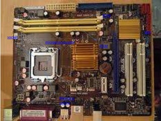 ROM



                                  slot
socket
         microprocessador
                            RAM




                Memòria
                catche
 