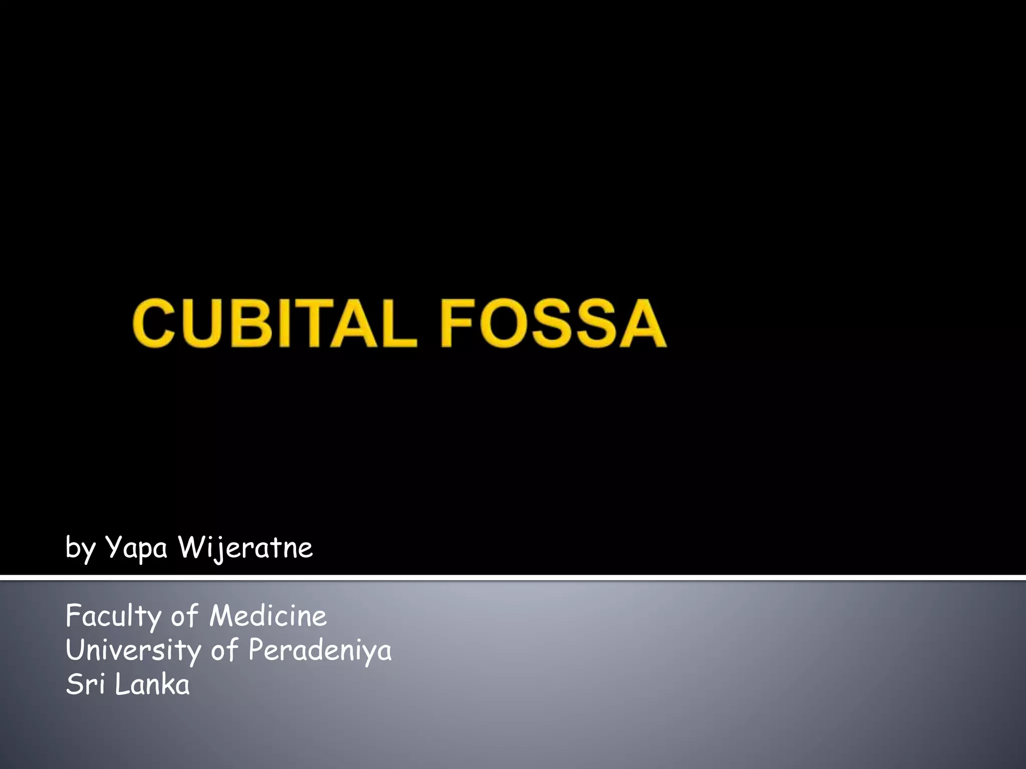 by Yapa Wijeratne
Faculty of Medicine
University of Peradeniya
Sri Lanka