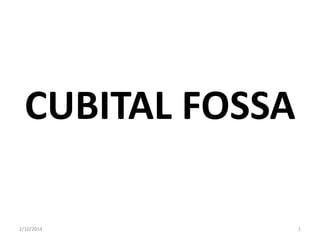 CUBITAL FOSSA
2/10/2014

1

 