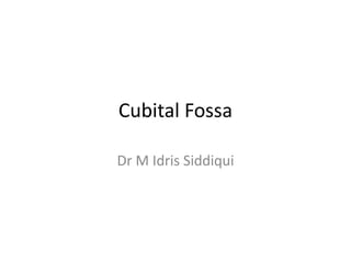 Cubital Fossa
Dr M Idris Siddiqui
 