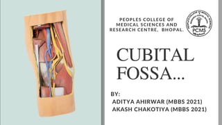 CUBITAL

FOSSA...
PEOPLES COLLEGE OF

MEDICAL SCIENCES AND

RESEARCH CENTRE, BHOPAL.
BY:
ADITYA AHIRWAR (MBBS 2021)
AKASH CHAKOTIYA (MBBS 2021)
 