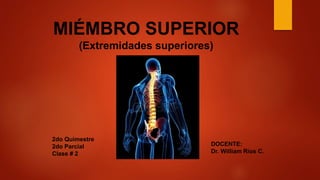 MIÉMBRO SUPERIOR
(Extremidades superiores)
DOCENTE:
Dr. William Ríos C.
2do Quimestre
2do Parcial
Clase # 2
 