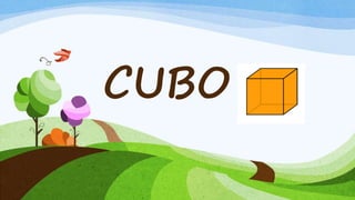 CUBO
 