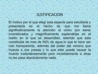 JUSTIFICACION
El motivo por el que elegí esta especie para estudiarla y
presentarla es el hecho de que me llama
significativamente la atención el como son seres
invertebrados y magníficamente esplendidas en el
medio en el que se desarrollan, además que esta
constituida de mas de 95% de agua lo que la hace ser
casi transparente, además del poder del veneno que
inyecta a sus presas y lo que este puede causar la
muerte instantáneamente pero increíblemente a otras
no les pasa absolutamente nada.
 