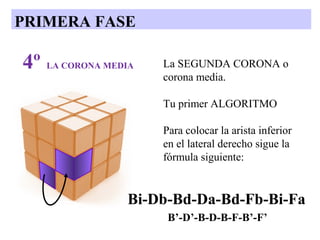 PRIMERA FASE

4º LA CORONA MEDIA

La SEGUNDA CORONA o
corona media.
Tu primer ALGORITMO
Para colocar la arista inferior
en el lateral derecho sigue la
fórmula siguiente:

Bi-Db-Bd-Da-Bd-Fb-Bi-Fa
B’-D’-B-D-B-F-B’-F’

 